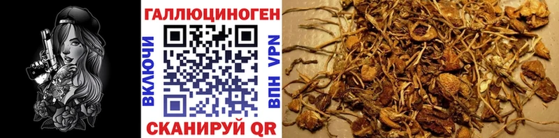 Псилоцибиновые грибы прущие грибы Иваново